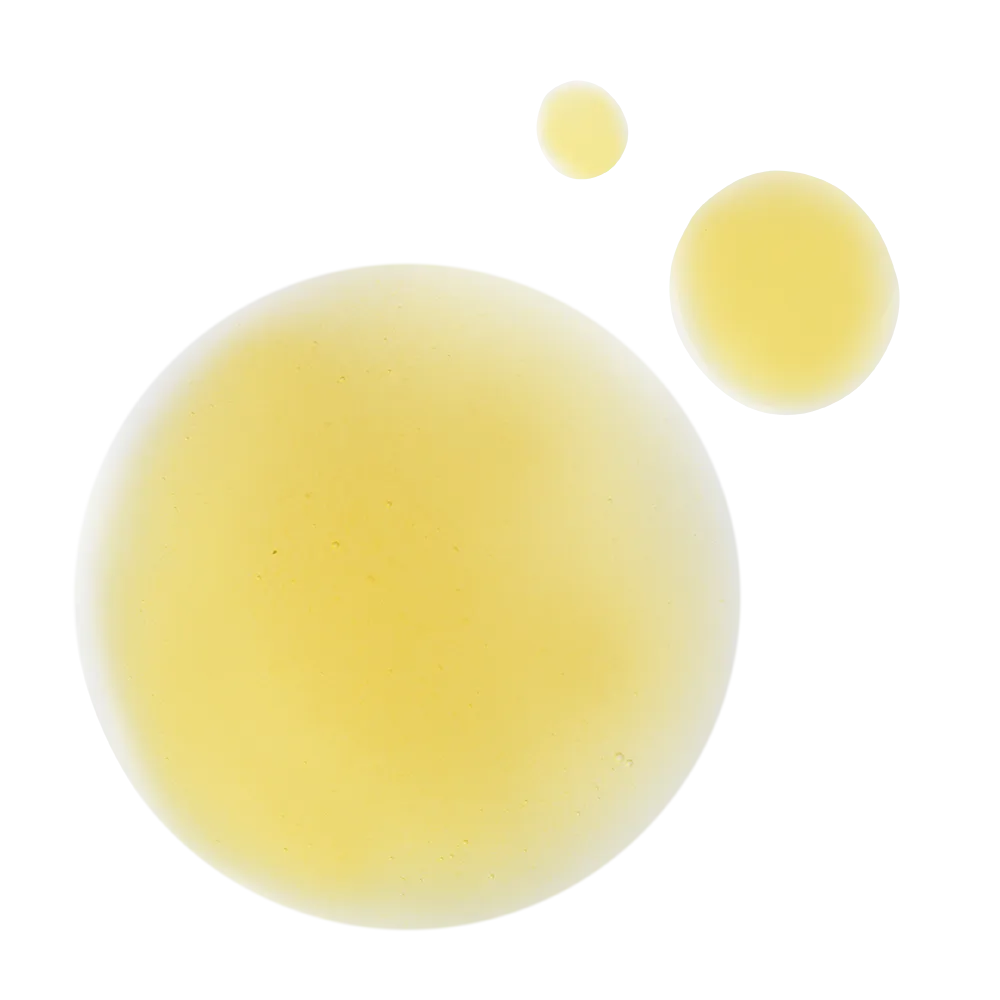 No-Age Bioactivating Treatment*: Anti Aging Cream